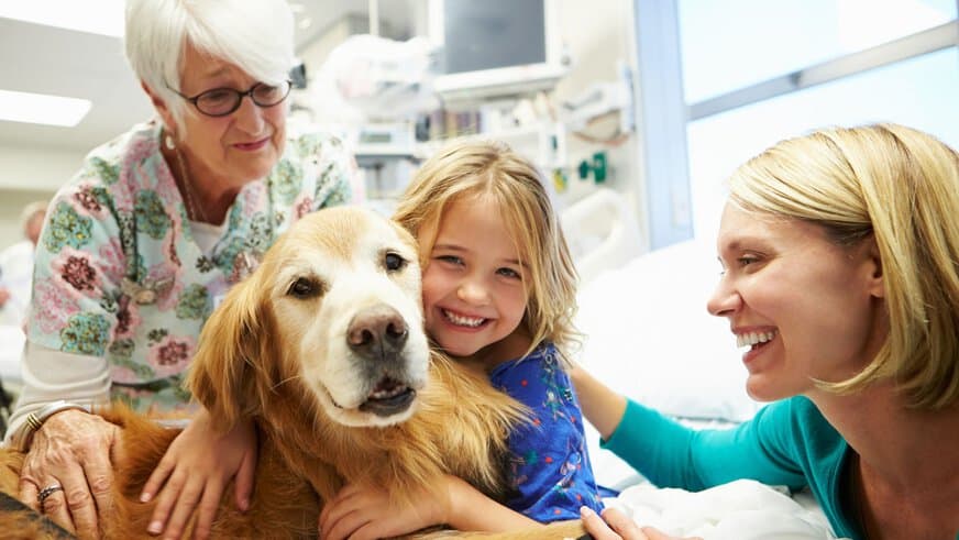 Animal therapy for shops kids